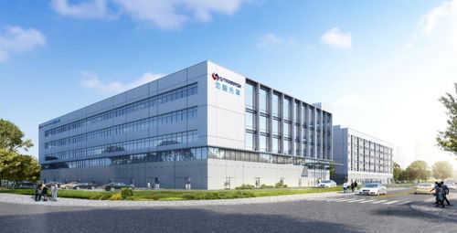 從龍圖光罩到環(huán)境科技 中國半導(dǎo)體產(chǎn)業(yè)自主可控的雙輪驅(qū)動